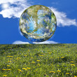 Beautiful green planet Earth