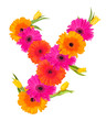 Y, flower alphabet isolated on white 