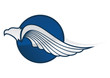 eagle symbol
