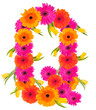 Q, flower alphabet isolated on white 