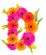D, flower alphabet isolated on white 