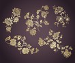 vintage paisley floral designs , wedding, royal India