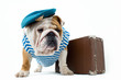 Bulldog