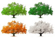 Ilustración: arbre arbre