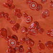 Blood cells - 3D Render