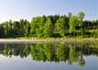 Spring landscape with pond in Czech Republic