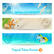Travel and vacation vector banners with tropical natures
