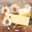 Photo: Blankoschild mit Teelicht und Blüten Blankoschild mit Teelicht und Blüten