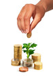 Hand with coin and plant.