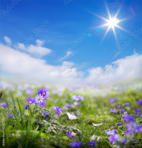 Photo: art floral spring or summer background art floral spring or summer background