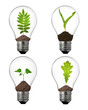 alternative energy concept: light bulbs with plant inside