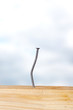 Wooden board with nails