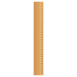 Vector illustration of wood ruler