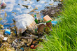Environmental contamination