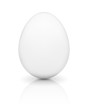 White egg with reflection on white background