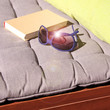 sonnenliege mit buch und sonnenbrille