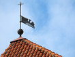 Vintage weather vane bird on the red roof