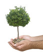 Investment to agriculture