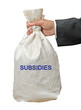 Bag with subsidies