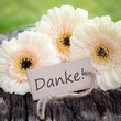 Label, Danke!
