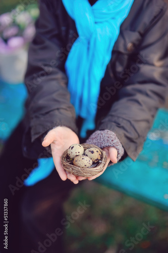 Photo: hands of a little boy in golubol scarf holding a nest with quail hands of a little boy in golubol scarf holding a nest with quail