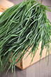 Mönchsbart - Agretti - barba di frate