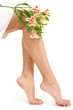 Beautiful Woman Legs, Isolated...
