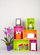 Beautiful colorful shelves with different home related objects