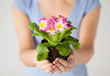 woman's hands holding flower in soil