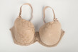 Stylish, vintage bra on white background