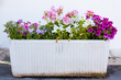 Flower pot