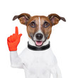 dog idea