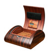 Opened humidor with cigars