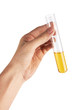 Test tube in hand