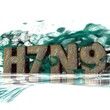 virus - h7n9