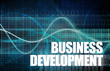 Business Development