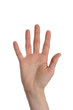 Hand