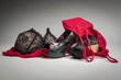 Female bra and underwear composition