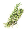 rosemary leaf isolated