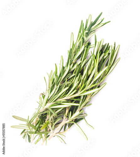 Photo: rosemary leaf isolated rosemary leaf isolated