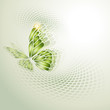 Abstract background with green butterfly