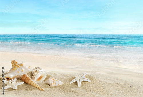 Fototapeta Landscape with shells on tropical beach