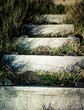 Rustic steps