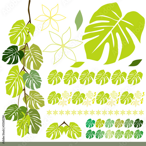 Vector: モンステラ セット 素材 Monstera Material モンステラ セット 素材 Monstera Material