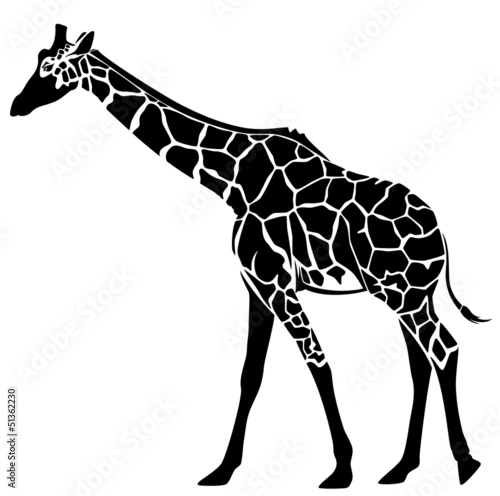 Vector: cute giraffe vector illustration cute giraffe vector illustration