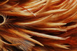 FEATHER