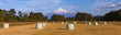 Villarrica Volcano, Patagonia, Chile