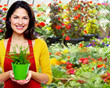 Gardening woman with plant.