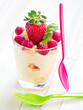 Vanillecremespeise mit frischen Himbeeren
