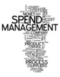 Word Cloud "Spend Management"